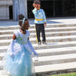 Deluxe Cinderella Dress by Little Adventures®